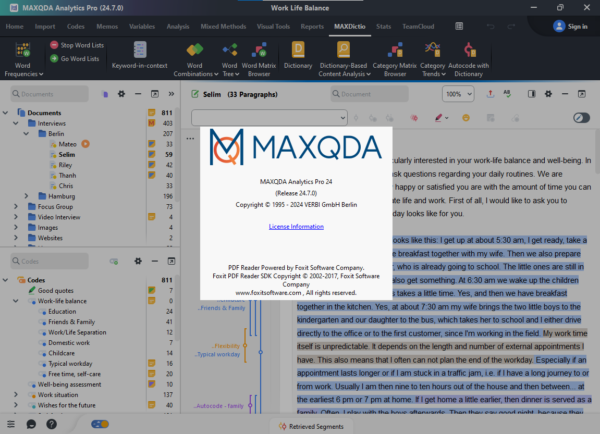 MAXQDA ANALYTICS PRO 24.7 LIFETIME LICENSE - Image 3