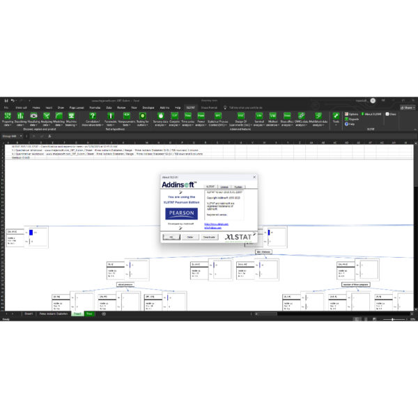 XLSTAT MAX EDITION Developer's Edition Full Version - Image 3